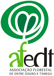 logotipo AFEDT