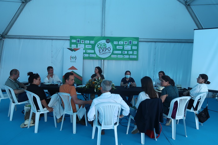 Reunião de Técnicos do Movimento Forestis