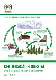 Certificação florestal - Uma floresta certificada é uma floresta com futuro