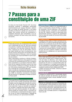 7 Passos para a Constituição de uma ZIF